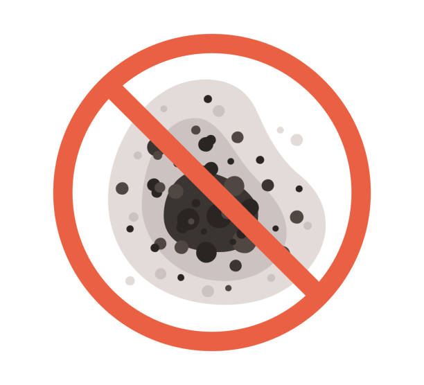 Best Mold Removal for HVAC Installations  in Ensley, FL
