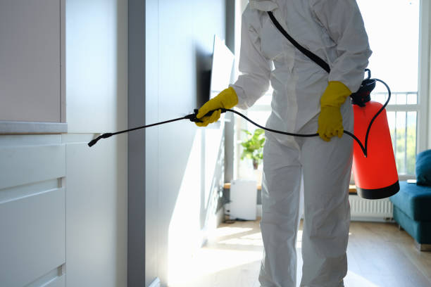 Professional Mold Removal in Ensley, FL