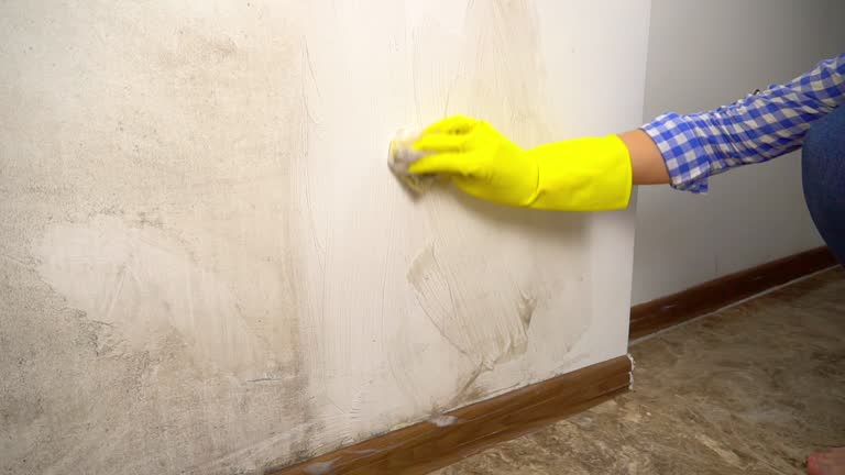  Ensley, FL Mold Removal Pros