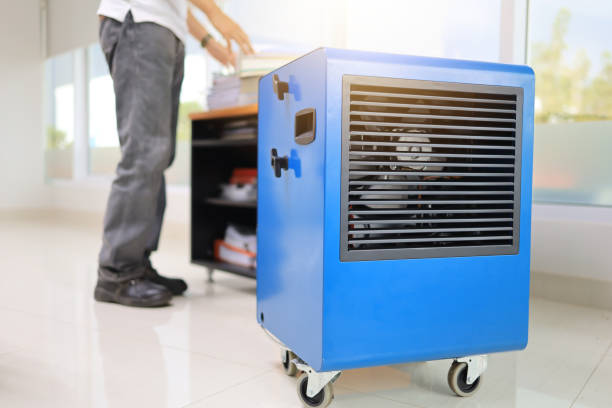 Best Forensic Mold Investigation  in Ensley, FL