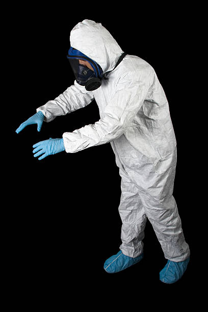 Best Black Mold Removal  in Ensley, FL