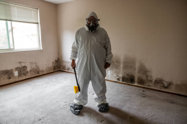 Best Asbestos and Lead Testing During Mold Inspection  in Ensley, FL