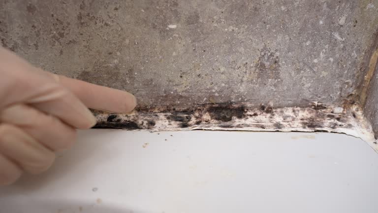 Forensic Mold Investigation in Ensley, FL